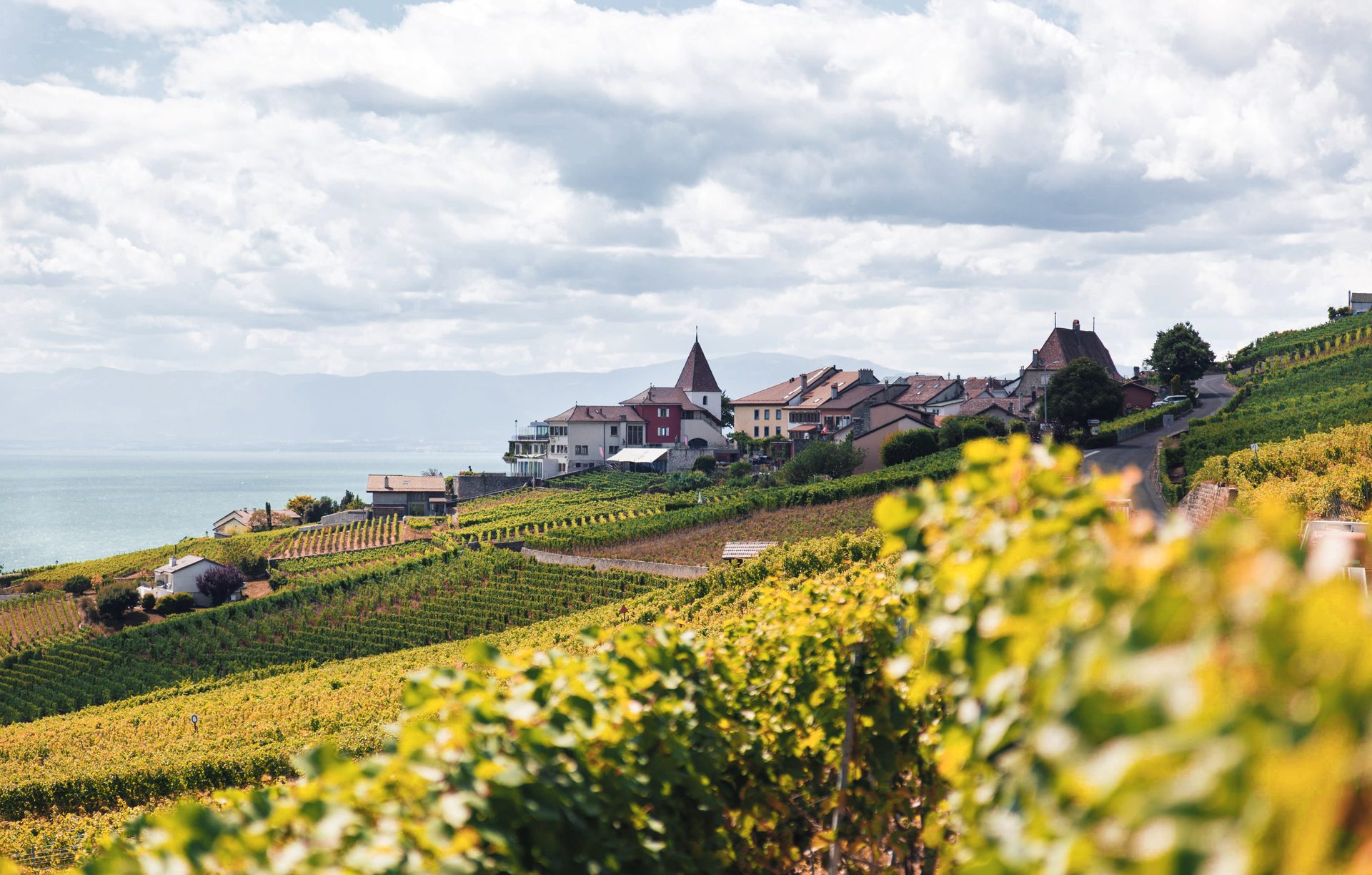 Les vignobles de Lavaux et le lac Léman, entre Lausanne et Montreux